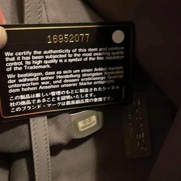 Chanel Coco Hobo Bag - Picture 11 of 15